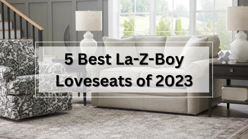 Les 5 meilleurs fauteuils fixes et inclinables La-Z-Boy en 2023 - Ottawa et Kingston