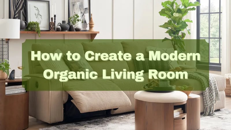 Comment créer un salon organique moderne : Conseils d'un expert