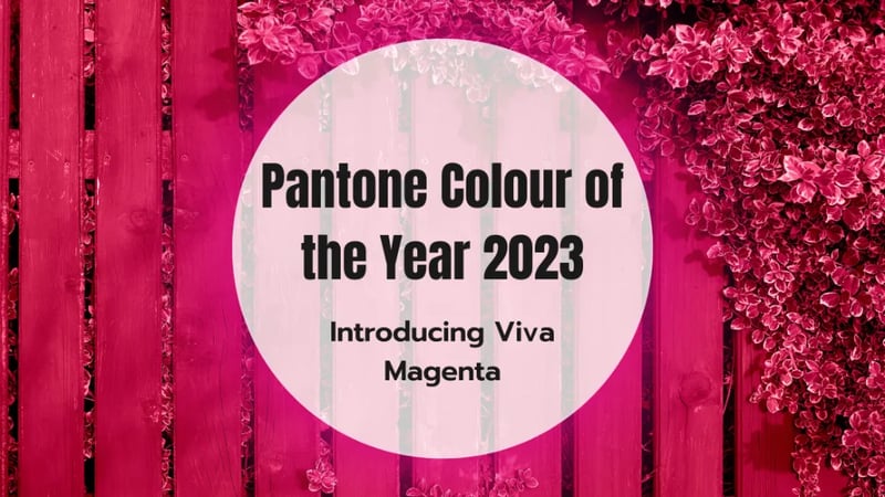 Couleur Pantone de l'année 2023