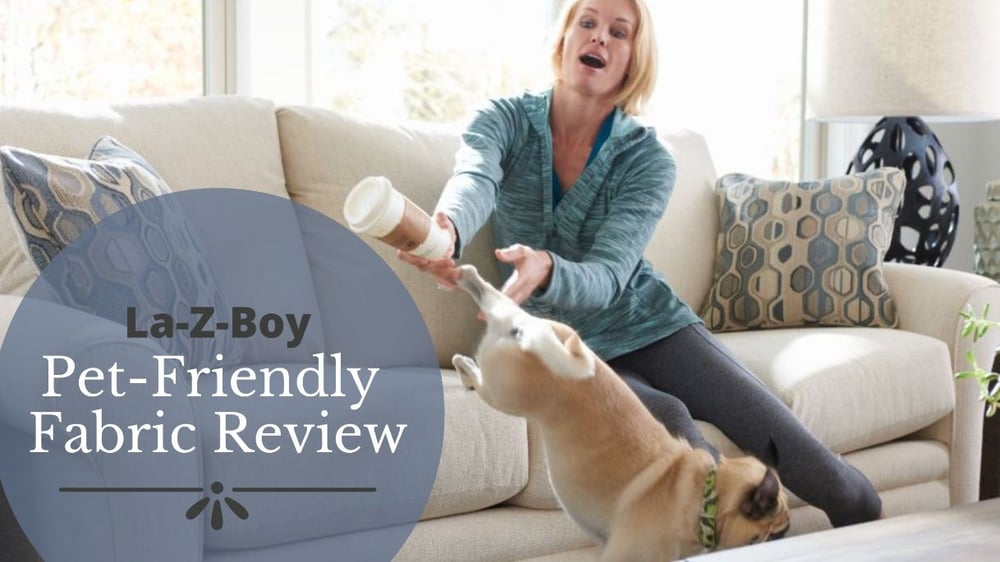 Pet-Friendly Review Featured Image