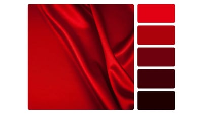 Palette de couleurs rouge