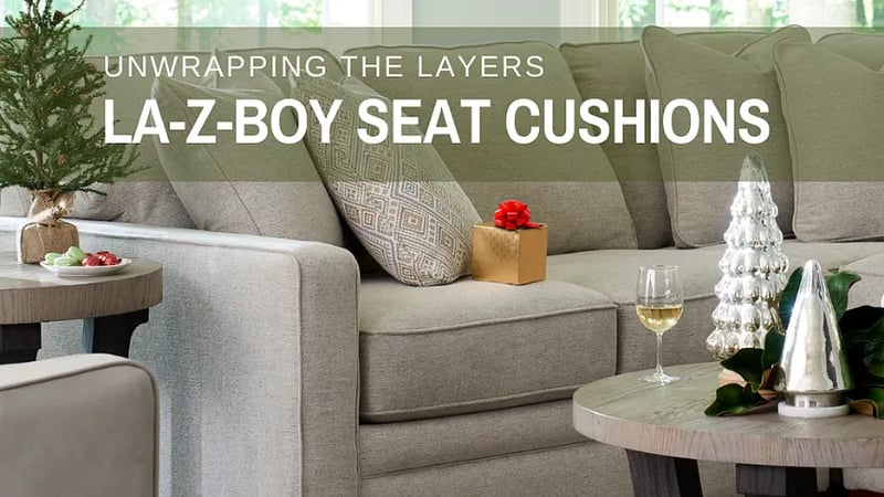 Examen des coussins de chaise et de canapé de La-Z-Boy
