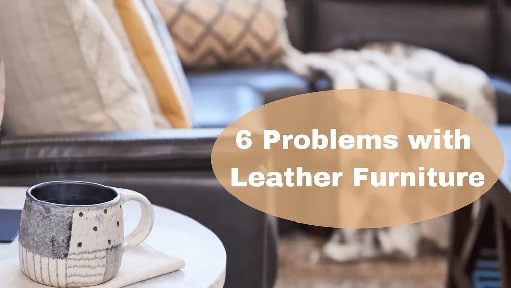 6 problèmes courants des meubles en cuir : Conseils d'experts sur la prévention et le traitement