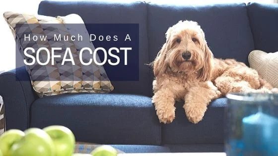 Combien coûte un canapé ?